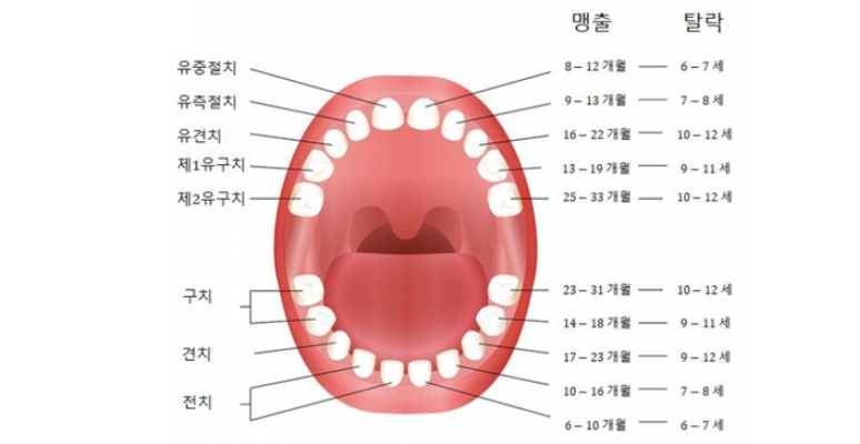 KakaoTalk_20250528_132537070.png