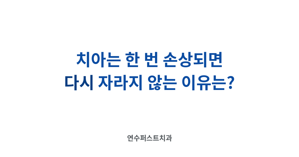 치아 재생과 법랑질 — 연수퍼스트치과 건강 블로그